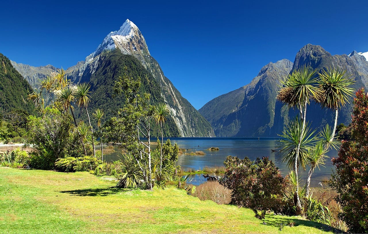 Make the long trek to New Zealand for these 10 remarkable nature experiences