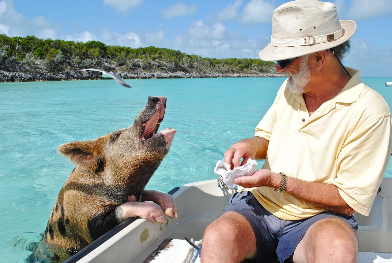 Try these 10 amazing experiences during your Bahamas vacation