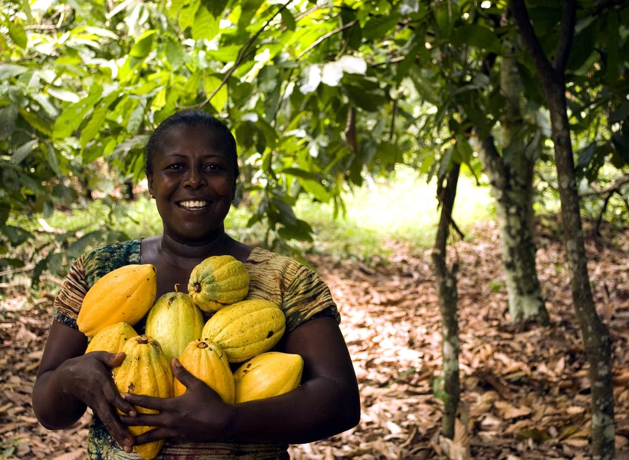 woman picking fruit in Ghana