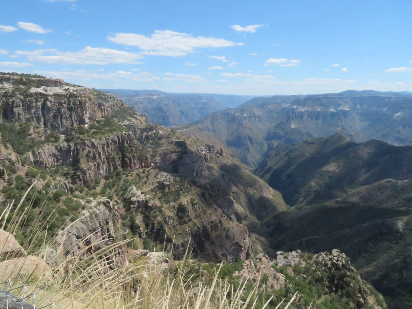 A view of Copper Canyon in Chihuahua, Mexico (Photo by Mark Stachiew)